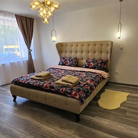 Escape Residence Vişeu de Sus Exteriér fotografie